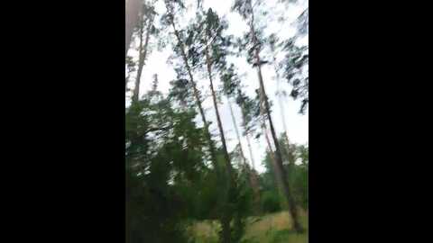 normanmash @ bongacams on 20230827