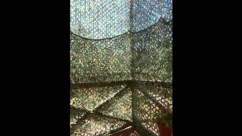 dandimilk @ bongacams on 20230828