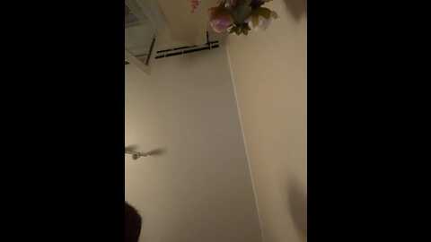 _fox_sly_ @ bongacams on 20230829