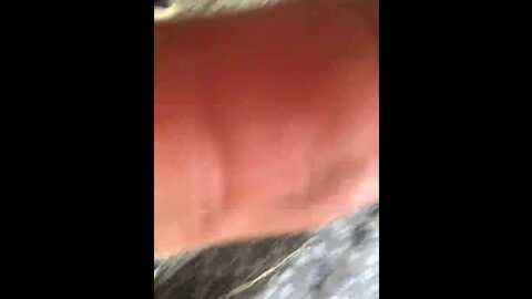 alisvik @ bongacams on 20230910