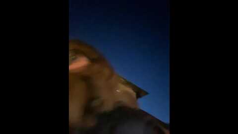 _alessandra @ bongacams on 20230911