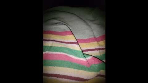 bosston_1 @ bongacams on 20230914