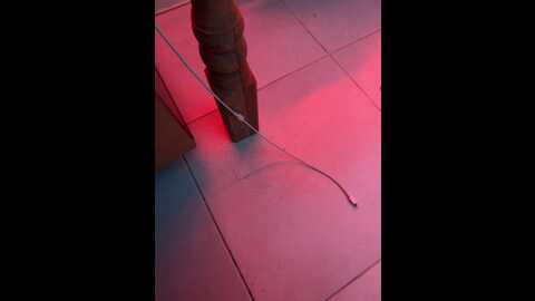 iraiegor @ bongacams on 20230916