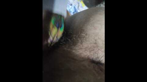 johnyfenomet2 @ bongacams on 20230930