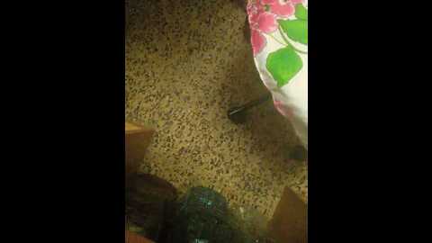 julia0114 @ bongacams on 20231005