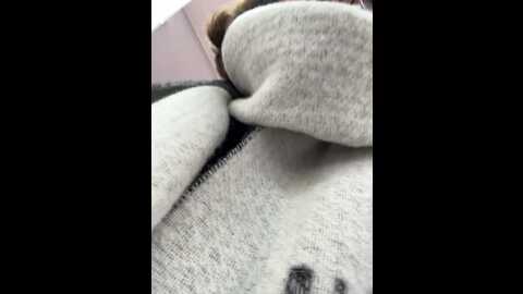 _alessandra @ bongacams on 20231020