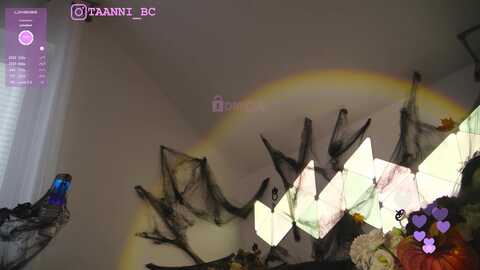 taanni @ bongacams on 20231101