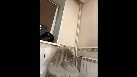 darksbunnys @ bongacams on 20231103