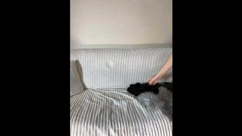 incredible123 @ bongacams on 20231103