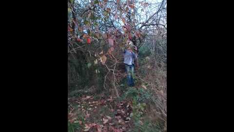 cumsquirtreal @ bongacams on 20231123