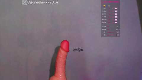 ogonechekkk