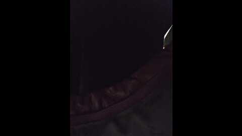 editamilf @ bongacams on 20231208