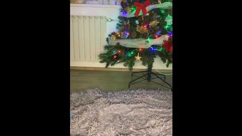 isizzu_top @ bongacams on 20231208