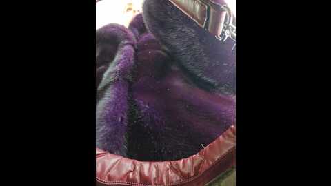 editamilf @ bongacams on 20240104