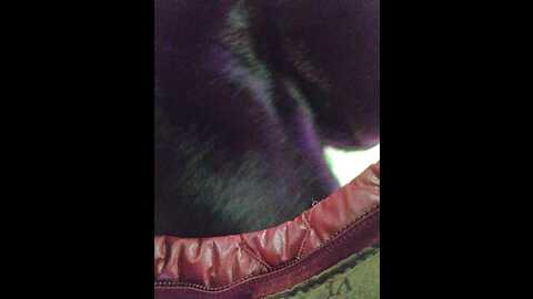 editamilf @ bongacams on 20240108