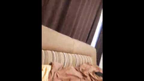 simon31011985 @ bongacams on 20240114