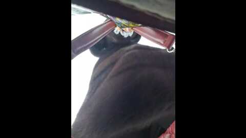 editamilf @ bongacams on 20240116