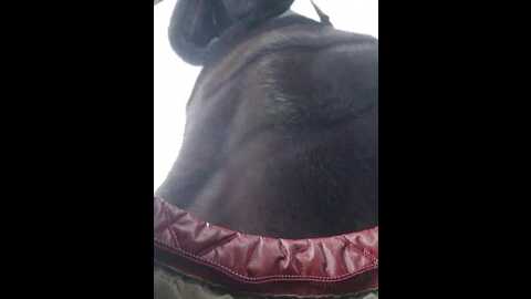 editamilf @ bongacams on 20240116