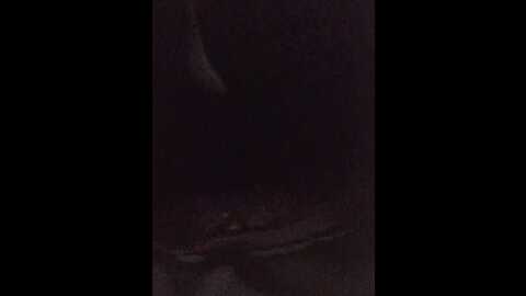 editamilf @ bongacams on 20240118