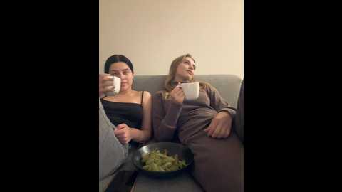 vibromashulkadashulka @ bongacams on 20240920