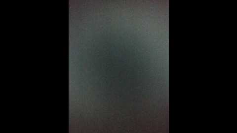 editamilf @ bongacams on 20240926