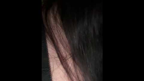 vagnermur @ bongacams on 20240926