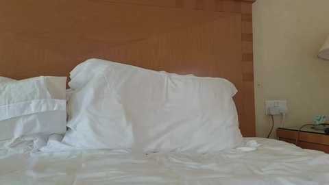 mr_and_mrs_smith_xxl @ bongacams on 20240928