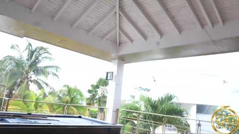 ggmansion @ bongacams on 20241004