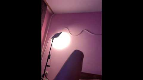 lateloverrr @ bongacams on 20241004
