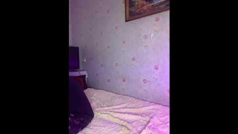 alyavass1 @ bongacams on 20241006