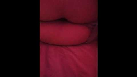 seritruh @ bongacams on 20241006