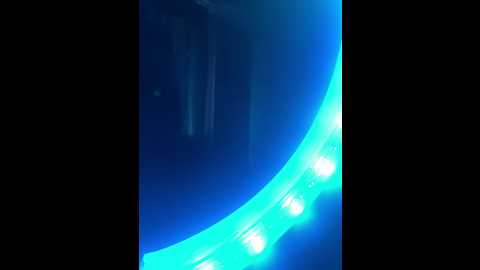 couplelovers @ bongacams on 20241007