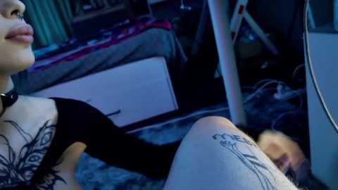 auroraradiance @ bongacams on 20241008