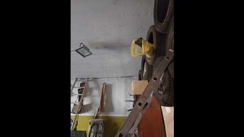 editamilf @ bongacams on 20241009