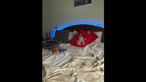 cosmos13131 @ bongacams on 20241010