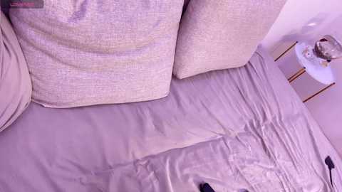 flyingdutchmana @ bongacams on 20241011