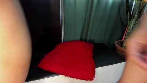 andrea_3a