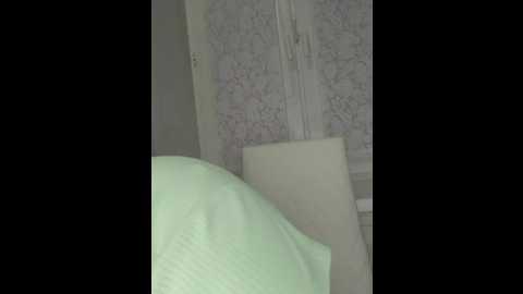 anesteishen @ bongacams on 20241014