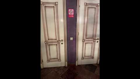 vibromashulkadashulka @ bongacams on 20241016