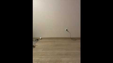 kisa_gav @ bongacams on 20241020