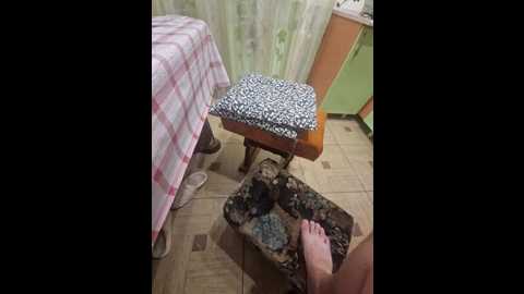 paratutt @ bongacams on 20241021