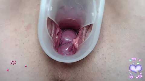 pevicha @ bongacams on 20241023