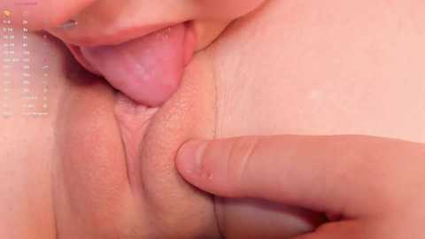 rocksbabiess @ bongacams on 20241023