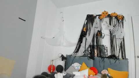 dolly_ll @ bongacams on 20241027