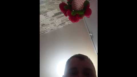 niki233221 @ bongacams on 20241027