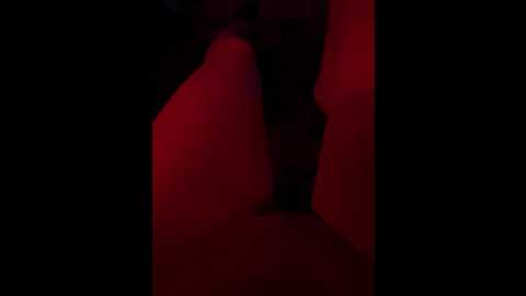 yourwitch @ bongacams on 20241028