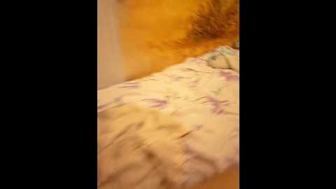 seksiparaa @ bongacams on 20241029