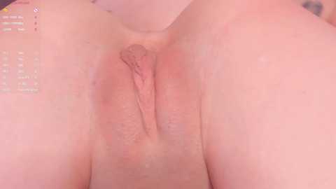 rocksbabiess @ bongacams on 20241030