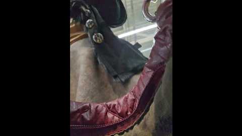 editamilf @ bongacams on 20241104