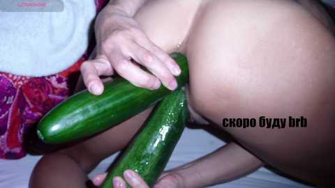 katniss_k @ bongacams on 20241104